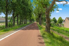 Cannenburg 83-4.jpg